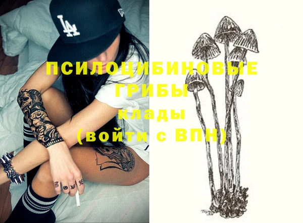 ешки Алексин