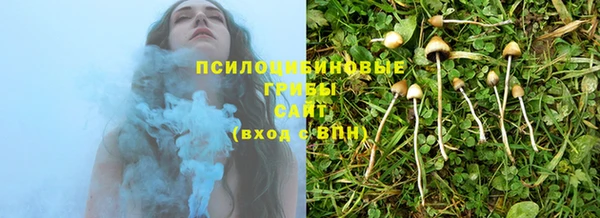 ешки Алексин