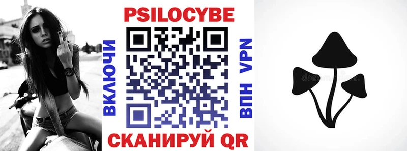 Галлюциногенные грибы Psilocybe  продажа наркотиков  Новозыбков 